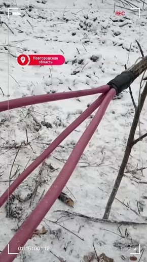 ����������� ������ �������� ������� ������������ �������, ���������� ��� �������������