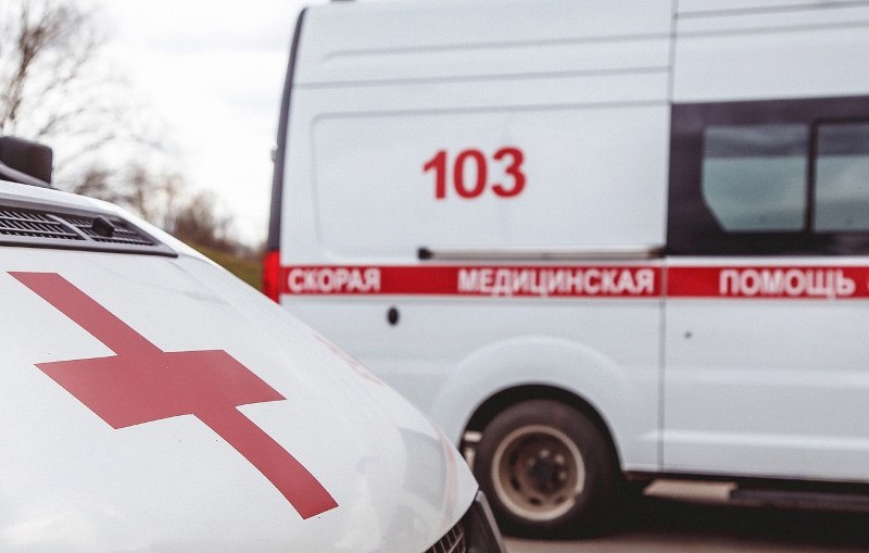 В Старой Руссе ребёнок врезался в дерево, катаясь на «ватрушке»