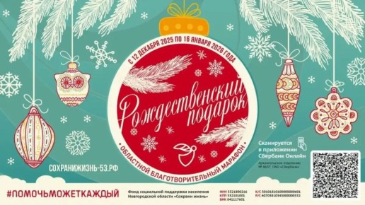 В Новгородской области продолжает работу марафон «Рождественский подарок»