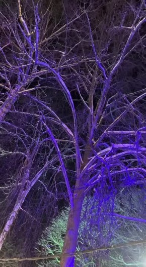 ���������� ����� ���������� ��������