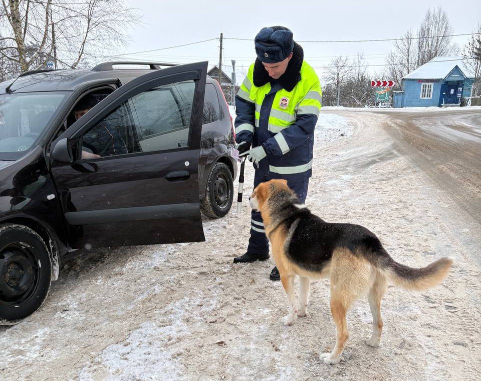 К новгородским сотрудникам ДПС присоединился необычный коллега К новгородским сотрудникам ДПС присоединился необычный коллега