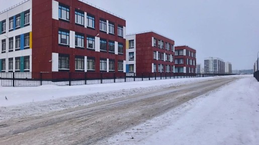 Александр Розбаум проверил, как убирают Великий Новгород от снега