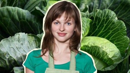 ��������� ������ �� ������ ������ �� �������������: ������� ������ ����