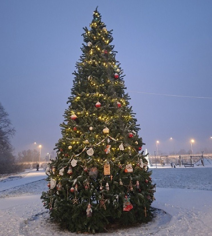 Ёлка из Великого Новгорода участвует в конкурсе «Ёлки России»