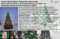 Новгородская красавица участвует во всероссийском конкурсе «Ёлки России»