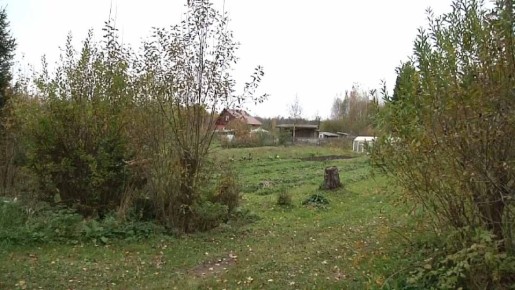 ������������ ������� ������ �� ����� ������ ���� � ��������� ���������� ������