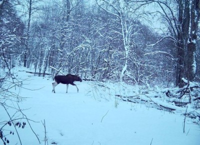 ������������ ���� ����������� ������ ��������� ����� ��� �������� ���������