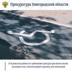 Прокуратура Чудовского района по обращению местной жительницы, поступившему на личном приеме прокурора области Сергея Швецова, провела проверку соблюдения требований законодательства о социальной защите инвалидов