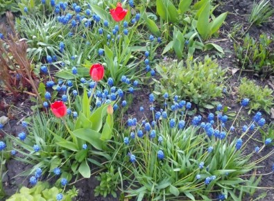 �����, ������� ������ ��� ��� ��������� ��������: �� ����� �� �����