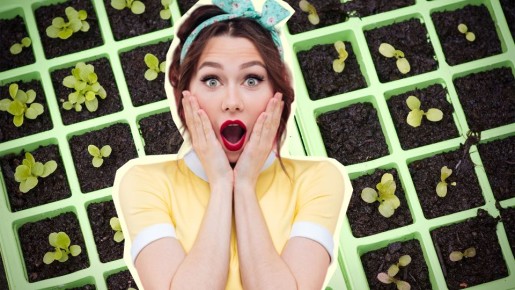 ������� ����, ���� �������� ��� � ������� � ��������: ����� ���������� ��� ������