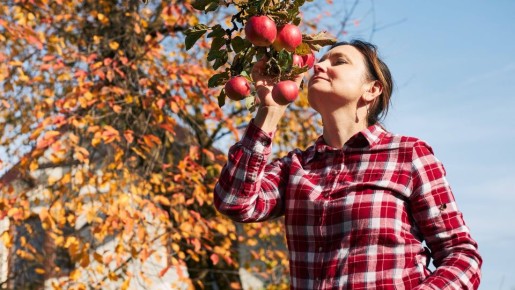 � �������� �������� � ������� ���: ���������� �� ������� ������ �� ��������