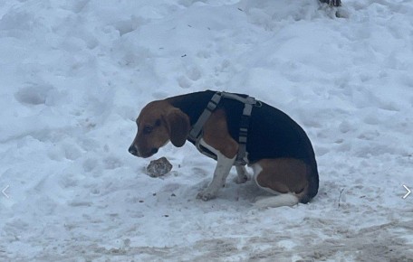 � ������� ��������� ���� ��������� ������ (� ��������� ���� ������), ������� ����� �� ����� ����� �2� 4 �� ����� ������