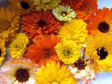 ���������: ������ ������ ��� ������������� ���������?