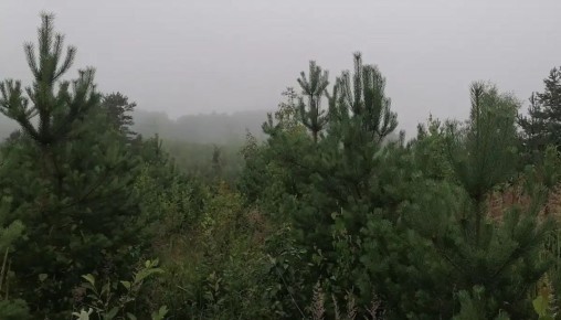 � ����� ��������, � ����� ������� ����� ����� ������ �����, ��� � �����������