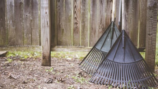 ������� ������� ������ �������� ����� ���� ������� ��������: ������ ������� �� ������� �������