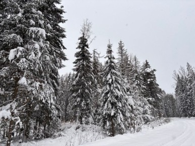 � ������������ ������� ����������� ������ ������ ���������� ���� ��������