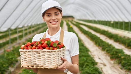 ���������� ������ ����� ������� ������ �������� � ��� �����: ������� ��� �� �������