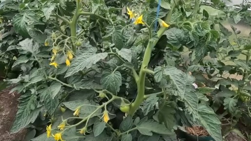 ��� �������� ��������� ������� � �������: ������ ���������