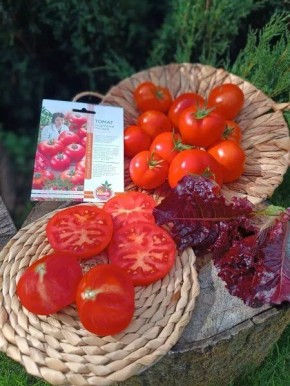 �������� �����: ����� � ����������� ���������������� � ������������� ����������