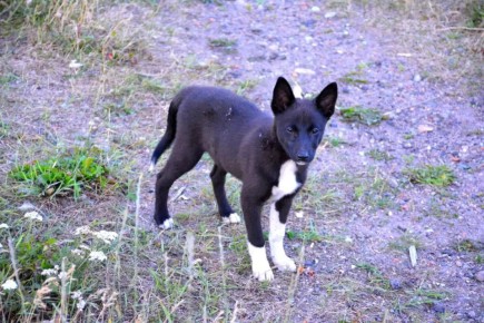 �� ��������� ������ ����� �������� ����� 100 �����������