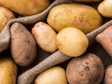 ������� ��������� ������: ��������� � ������� � ����� �����