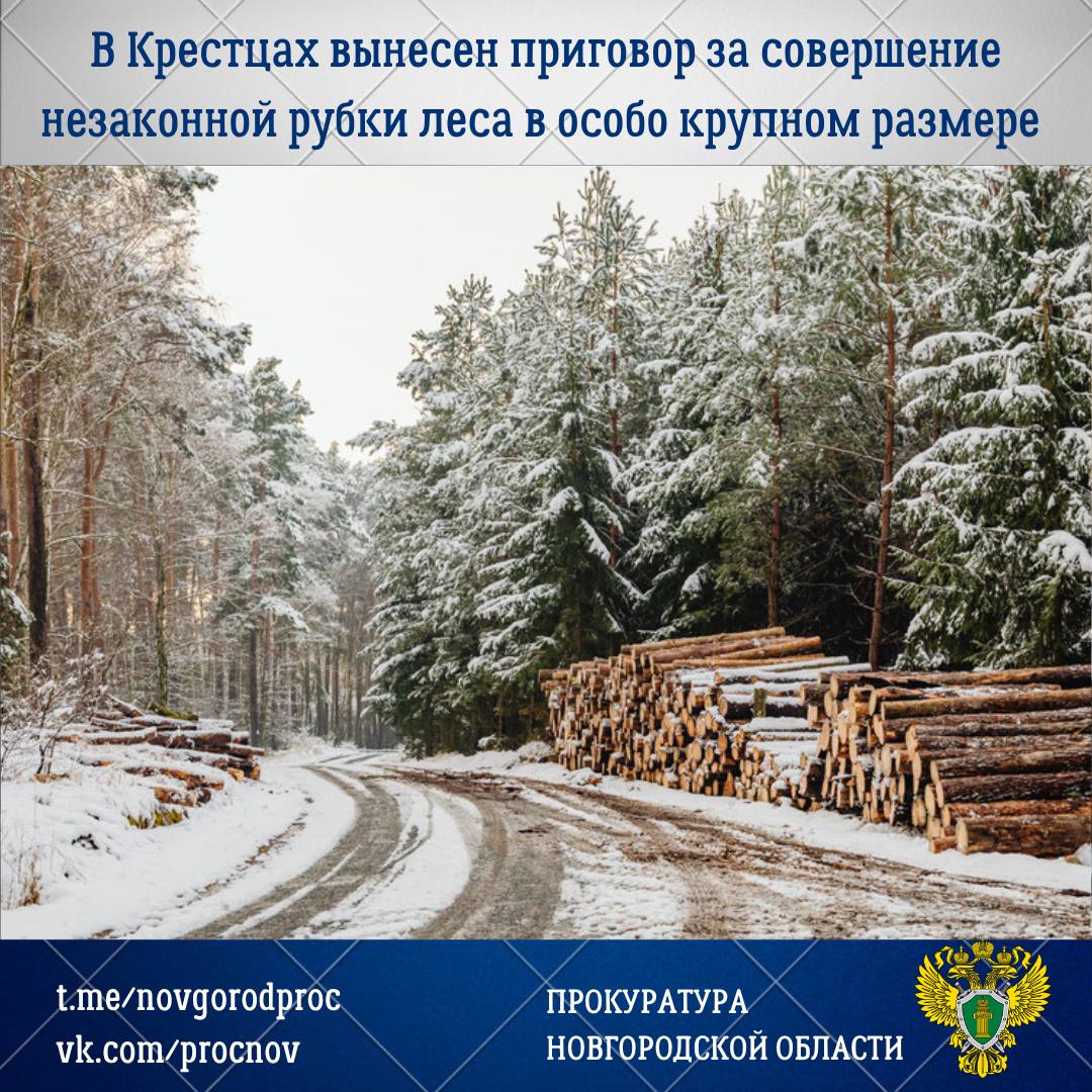 Окуловский районный суд с участием представителя прокуратуры Крестецкого района вынес обвинительный приговор по уголовному делу в отношении 44-летнего местного жителя Александра Положенкова