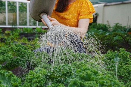 ������: ������� �������� ��������� ��������