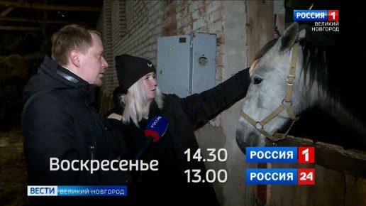 � ��������� ����������� � ���� ������ ����� ������ ��������� ������ �� �������