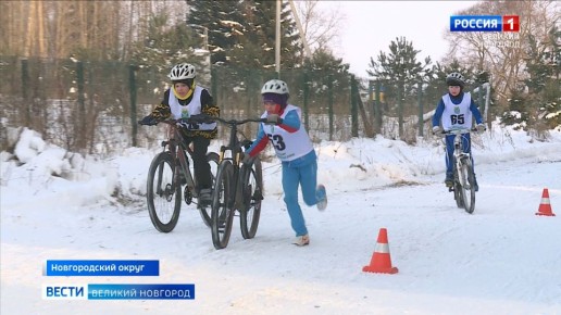 � ������� �������� ������ ������ ���� ����� ������������ ������� �� ���������