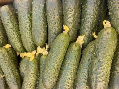 � ������������ ��������� ���������� ������� 235 ���� �������