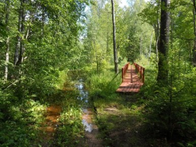 �� ������ ����� ������� � ���������� ������ ����� ��������� �������-��������