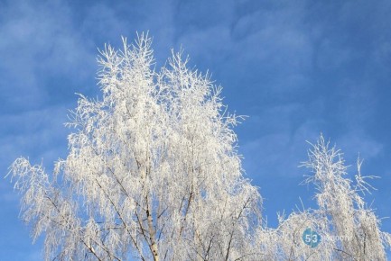 ������� ������? ����������� ���������� � ������ �� 24 � 25 ������