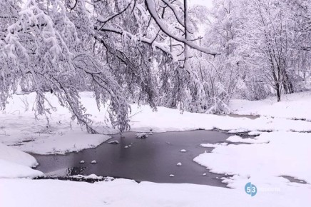 ����� �� ������ ��� ������ �� ������������ �������?