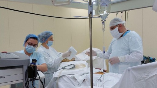 � ������������ �������������� ���������� �������� ������������ ����������� �������