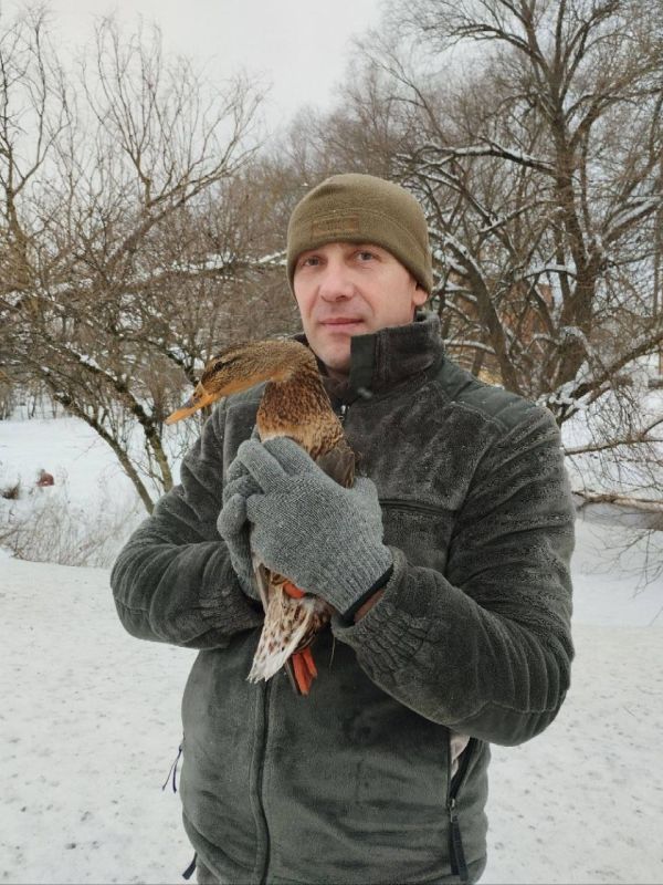 �� ��� ���� � ������� ��������� ��������� ����� 800 ������������� ����