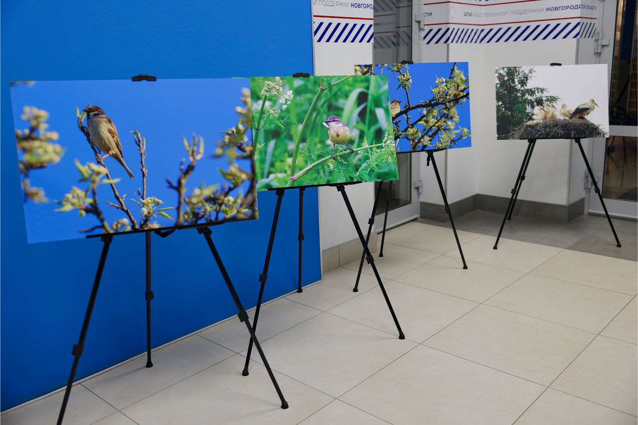 Первая в этом году выставка фоторабот депутата Анатолия Федотова открылась в Штабе общественной поддержки "Единой России" Первая в этом году выставка фоторабот депутата Анатолия Федотова открылась в Штабе общественной поддержки "Единой России"