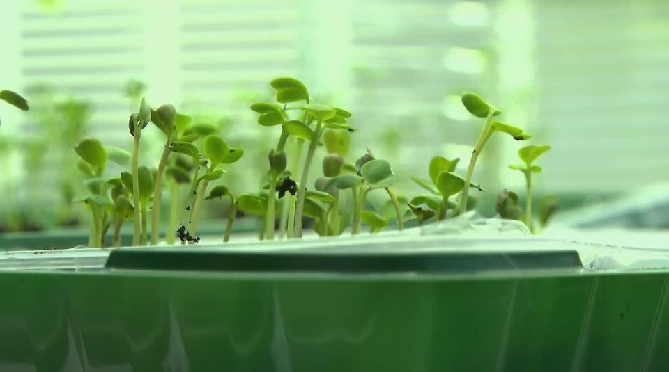 ������� � ����� ������� ����� ������������� ������ �������� ������������������� ����� �������������� � ������� ������������