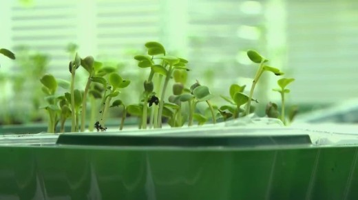 ������� � ����� ������� ����� ������������� ������ �������� ������������������� ����� �������������� � ������� ������������