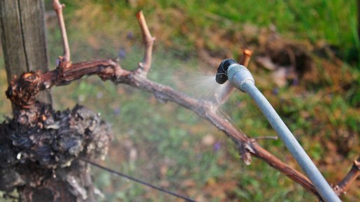 ��� �������� �������� ������: ������ ������ �� ��������� �� �������� � ����������