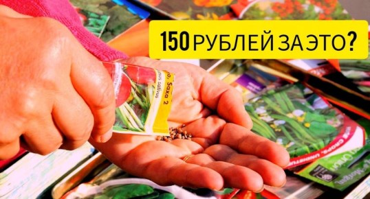 проверка семян f1: где скрыты недостатки, которые стоят нам дорого в 2026 году