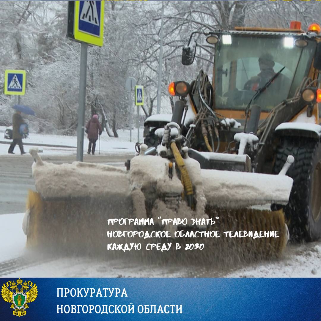 Нынешняя зима в Новгородской области, не смотря на декабрьские дожди, всё-таки оказалась щедрой на снегопады и морозы Нынешняя зима в Новгородской области, не смотря на декабрьские дожди, всё-таки оказалась щедрой на снегопады и морозы