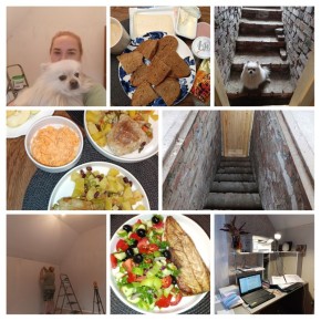 ����� �������� �� �����: ��������� ���������� ������������ ������ � ����� ����