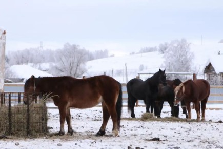 � ����������� ������ ����� ����������, ��� ������� ������� �� ������� �������