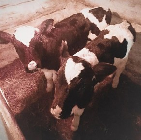 � ��������� � ��������� ������ � ������ �������� ������