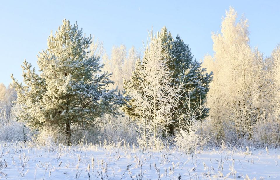 ������ ��������. ����������� ������� ������ ��� �����������