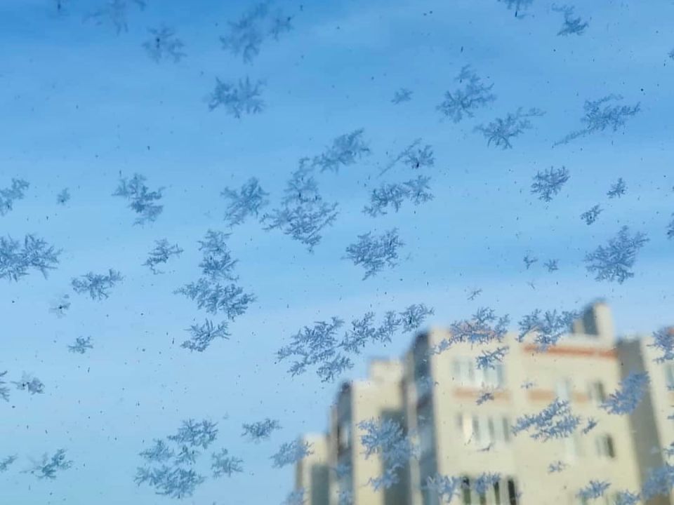 ��������! ��������� �������� �������