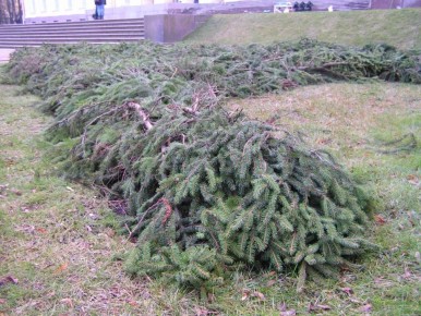 ��� ������� ������, ������� ������������� ������� ��� ���� �����