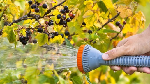 ��� � ������ ��������� ������ ����� ��: ����-�������� ��� ���� � ����� �������