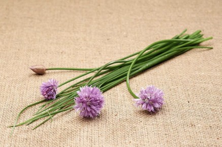 ����������� ����: ��������� ����� ��� ������������ ������� � ������� ���������