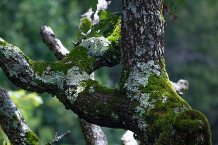 ����������� ������ ������ � ���� � ���������� �� �������� �������� � �����������